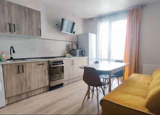 Сдаю в аренду 2-ком. квартиру, 70 м2, Воронеж, улица Шидловского, 22