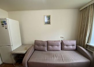 Сдается в аренду квартира студия, 18 м2, Тюмень, улица Червишевский Тракт, 68А