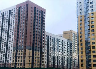 Продам 1-комнатную квартиру, 38.4 м2, Воронеж, улица Пескова, 6