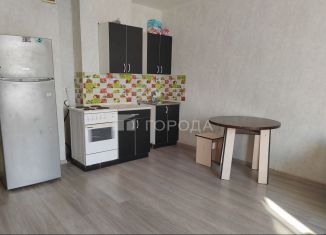 Сдаю в аренду квартиру студию, 34 м2, Новосибирск, улица Татьяны Снежиной, 43, Октябрьский район