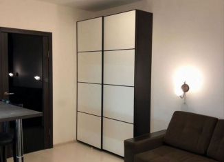 Продажа квартиры студии, 24.3 м2, Мурино, проспект Авиаторов Балтики, 7, ЖК Виктория