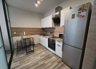 Сдаю 1-комнатную квартиру, 58 м2, Тюмень, улица Республики, 204к4