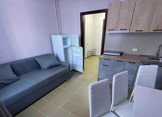 1-комнатная квартира в аренду, 34.4 м2, Москва, Гостиничный проезд, 6к2