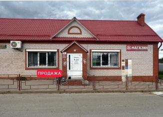 Торговая площадь на продажу, 80.2 м2, Удмуртия, улица Чапаева, 219