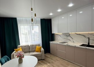 1-ком. квартира на продажу, 42.3 м2, Новосибирск, микрорайон Закаменский, 13, метро Берёзовая роща