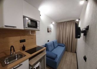 Продаю квартиру студию, 10.6 м2, Санкт-Петербург, Сапёрный переулок, 10