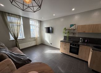 Сдача в аренду квартиры студии, 30 м2, Тюмень, улица Ю.-Р.Г. Эрвье, 38, ЖК Европейский Берег