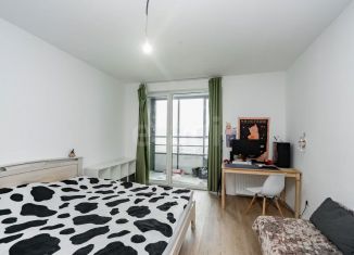 Продаю квартиру студию, 25 м2, посёлок Шушары, Новгородский проспект, 2к3