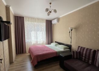 Сдается в аренду однокомнатная квартира, 33 м2, Краснодар, улица им. Героя Сарабеева В.И., 5к3, микрорайон Панорама