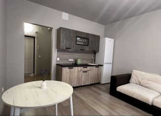 Сдача в аренду квартиры студии, 29 м2, Тюмень, улица 50 лет ВЛКСМ, 13