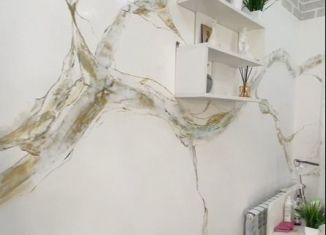 Продам помещение свободного назначения, 17 м2, Ставропольский край, улица Мира, 232