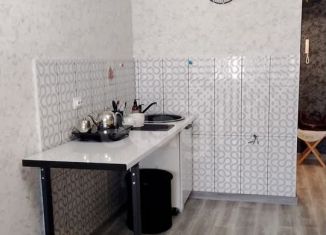 Продается квартира студия, 23.2 м2, Краснодар, улица Петра Метальникова, 3/1к1, Музыкальный микрорайон