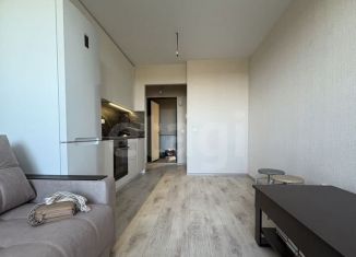 Квартира в аренду студия, 28 м2, Воронеж, улица Теплоэнергетиков, 17к4