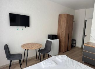 Продается квартира студия, 17.9 м2, Троицк, Городская улица, 20