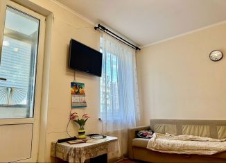 Продается квартира студия, 25.2 м2, Кудрово, Пражская улица, 9, ЖК Вернисаж