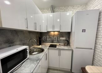 Сдам в аренду квартиру студию, 30 м2, Воронеж, Острогожская улица, 168С