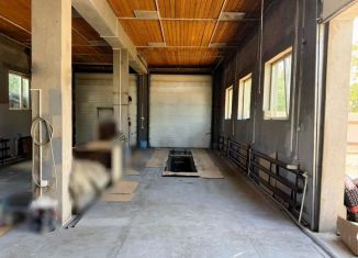 Аренда помещения свободного назначения, 250 м2, Благовещенск, Тенистая улица, 61