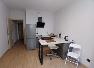 Квартира в аренду студия, 25.3 м2, Мурино, Воронцовский бульвар, 4, ЖК Гринландия