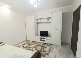 Однокомнатная квартира в аренду, 40 м2, Ростов-на-Дону, Врубовая улица, 4