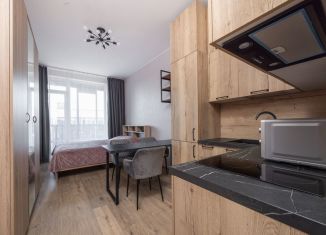 Квартира в аренду студия, 25 м2, Санкт-Петербург, Новосергиевская улица, 3, метро Юго-Западная