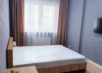 Сдача в аренду однокомнатной квартиры, 40 м2, Краснодар, Душистая улица, 60к2, микрорайон Молодёжный