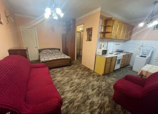 Сдается квартира студия, 30 м2, Тюмень, улица Мельникайте, 96