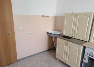 1-комнатная квартира на продажу, 27.4 м2, Свободный, Шатковская улица, 1