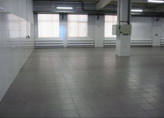 Аренда производства, 374 м2, Москва, улица Бирюсинка, 7с1