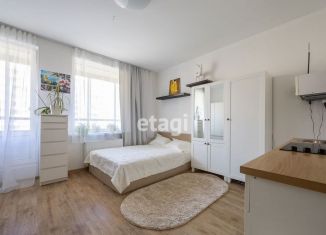 Продам квартиру студию, 24.4 м2, Мурино, Графская улица, 12к1