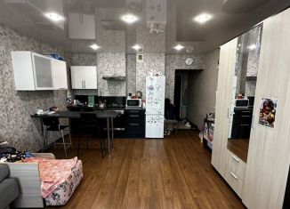 Сдача в аренду квартиры студии, 35 м2, Новосибирск, улица Татьяны Снежиной, 29/1, Октябрьский район
