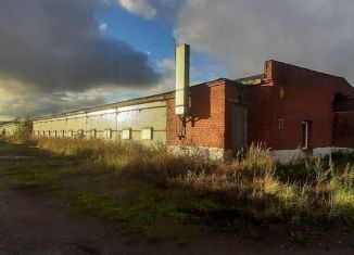 Помещение свободного назначения в аренду, 1713 м2, деревня Малые Вязёмы