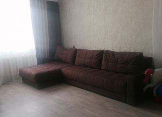 Сдается в аренду однокомнатная квартира, 36 м2, Ростов-на-Дону, Соборный переулок, 12/13