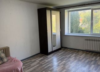 Продам 1-комнатную квартиру, 30.2 м2, Саратов, Шелковичная улица, 200