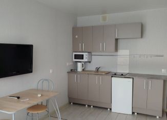 Сдаю квартиру студию, 24.8 м2, Республика Башкортостан, Яркий бульвар, 13