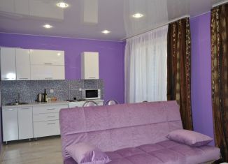 Продается квартира студия, 40 м2, Чебоксары, улица Пирогова, 1к6