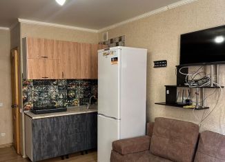 Продается квартира студия, 20.7 м2, Краснодар, улица имени И.И. Дунаевского, 22А, Прикубанский округ