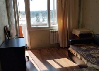 Аренда 2-комнатной квартиры, 45 м2, Санкт-Петербург, улица Партизана Германа, 45, Красносельский район