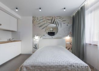 Продажа квартиры студии, 24.4 м2, Санкт-Петербург, метро Комендантский проспект, проспект Королёва, 62