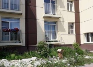 Продам квартиру студию, 19.7 м2, Новосибирск, Большая улица, 668