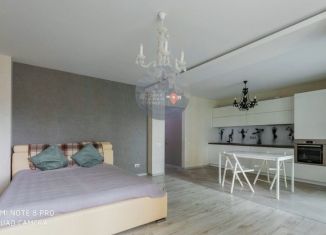 Продаю квартиру студию, 28.3 м2, Санкт-Петербург, набережная реки Фонтанки, 39