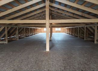 Сдаю в аренду помещение свободного назначения, 900 м2, Набережные Челны, 28-й квартал, 63