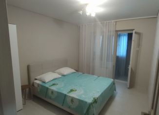 Сдается 2-ком. квартира, 50 м2, Сочи, улица Чебрикова, микрорайон Ареда