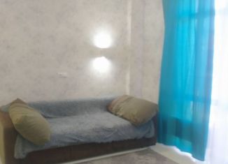 Сдаю квартиру студию, 25 м2, село Черешня, Владимировская улица, 141