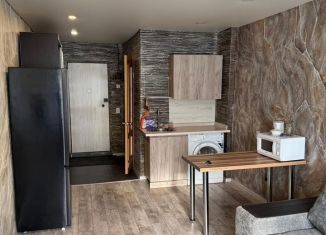 Сдается в аренду квартира студия, 23 м2, Белгородская область, микрорайон Молодогвардеец, 1