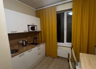 Продаю однокомнатную квартиру, 33.3 м2, Санкт-Петербург, муниципальный округ Пулковский Меридиан, 5-й Предпортовый проезд, 2