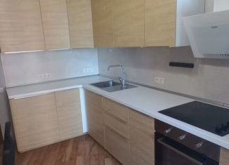 Продаю 1-ком. квартиру, 41.6 м2, Санкт-Петербург, Лиственная улица, 18к1