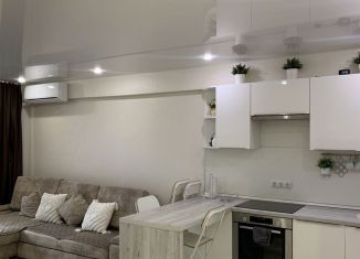 Сдаю однокомнатную квартиру, 54 м2, Сириус, Урожайная улица, 71/1