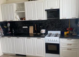 Сдается в аренду 1-ком. квартира, 41 м2, Ярославль, улица Вишняки, 7