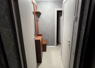 1-комнатная квартира в аренду, 30.6 м2, Москва, Щёлковское шоссе, 63