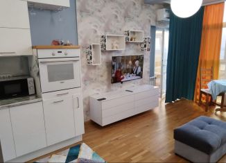 Сдаю квартиру студию, 30 м2, Хабаровск, Пионерская улица, 1